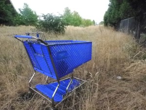 abandon_shopping_cart